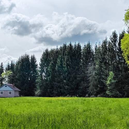 Photo #12190328