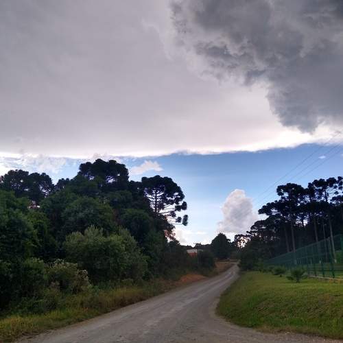 Photo #12190527