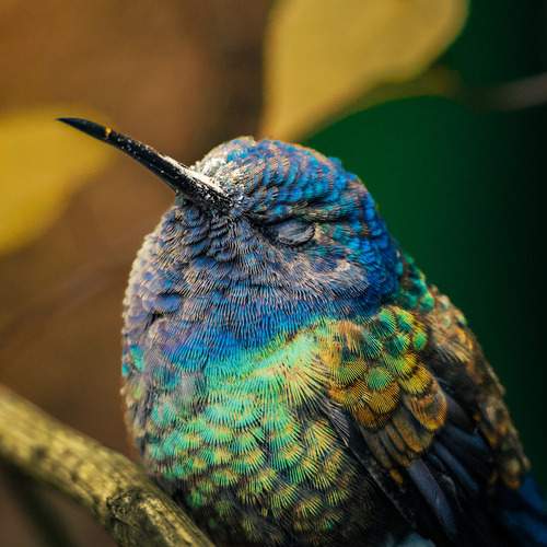 Photo #12190851