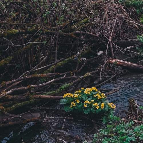 Photo #12191023