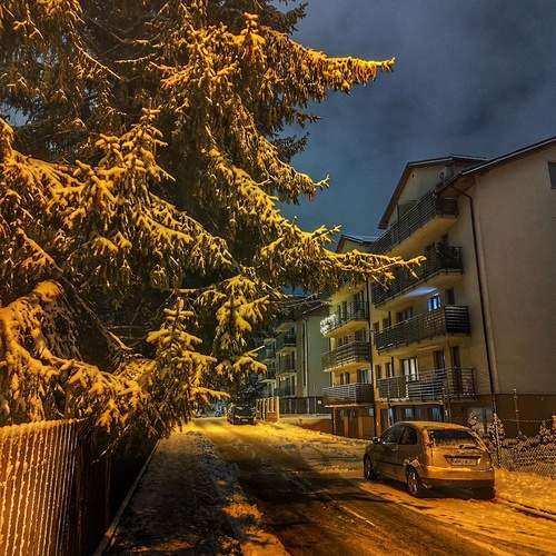 Photo #12191338