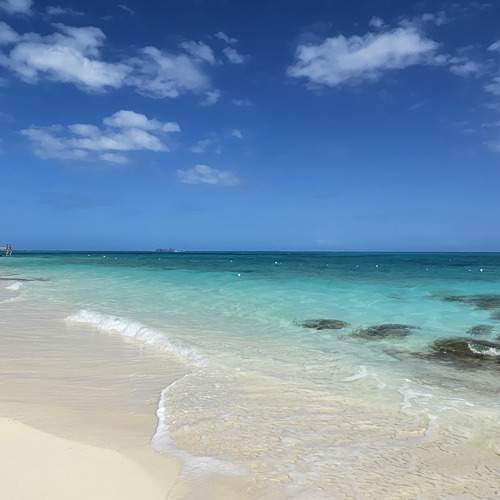 Photo #12192308