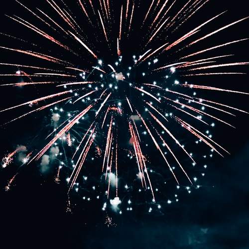Photo #12192567