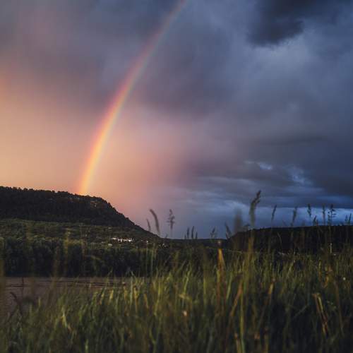 Photo #12192756
