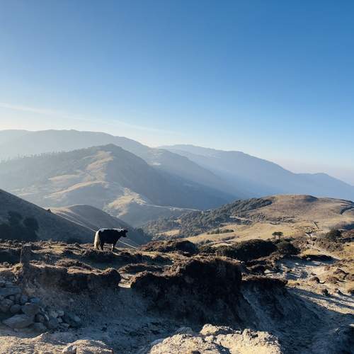 Photo #12193244