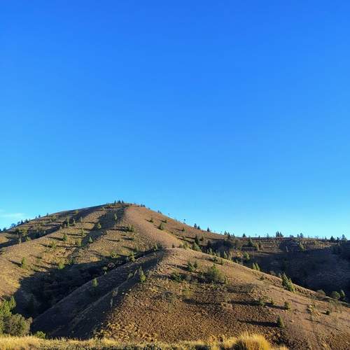Photo #12193372