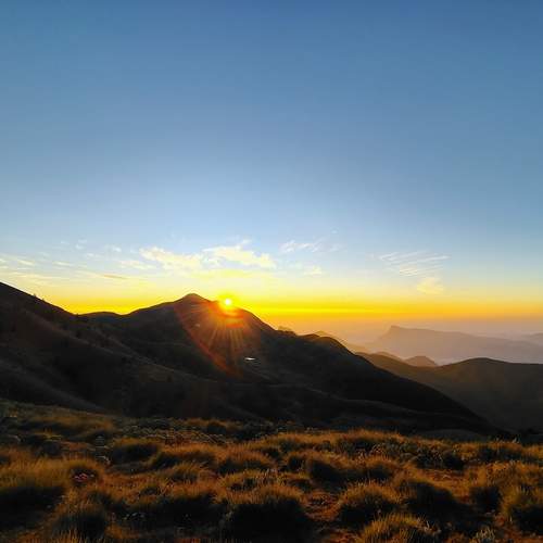 Photo #12193375
