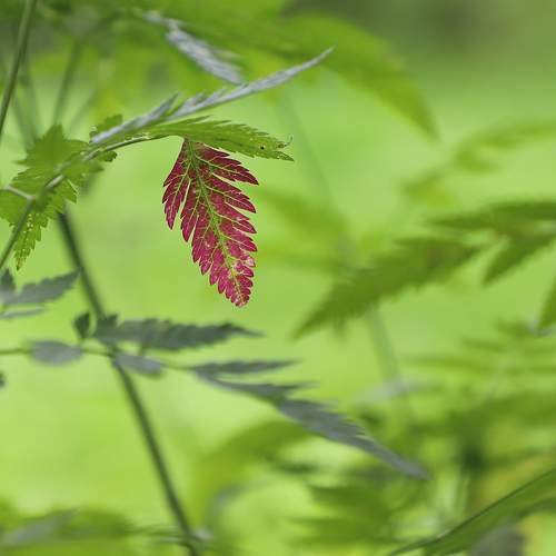 Photo #12194340