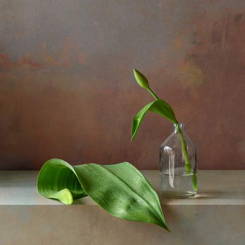 Фотография #12194385