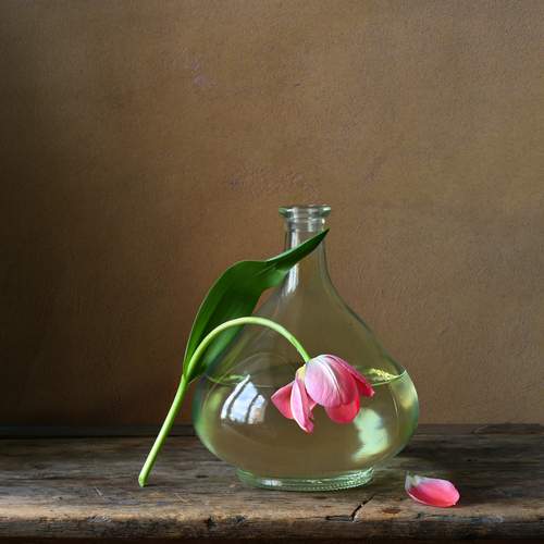 Фотография #12194389