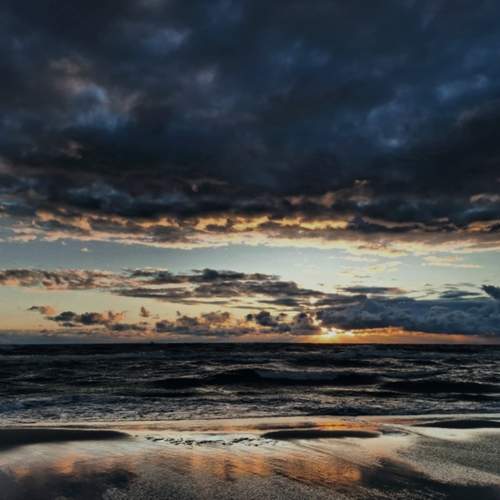 Photo #12194694
