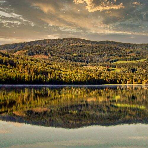 Photo #12194838