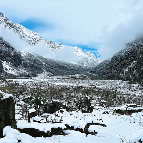 Photo #12194933