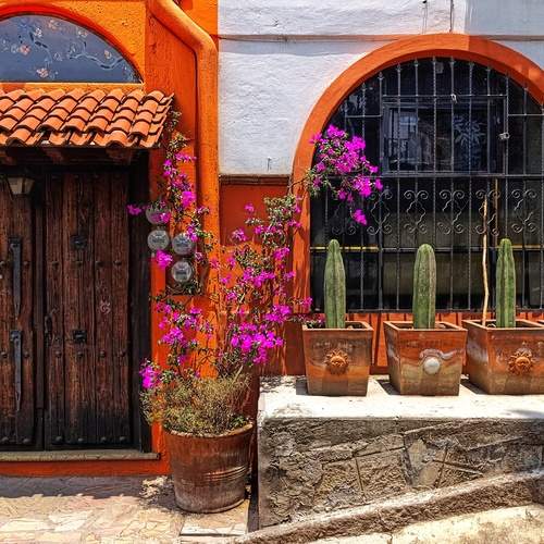Photo #12195275