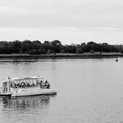 Photo #12195586