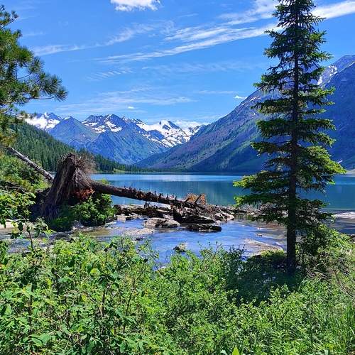 Photo #12195766