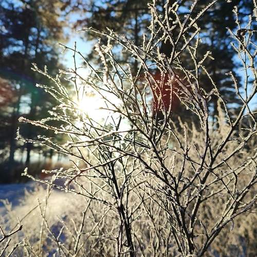 Photo #12195772