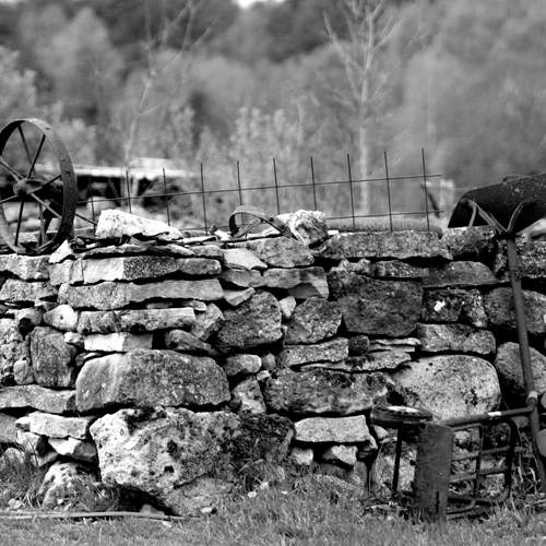Photo #12196717
