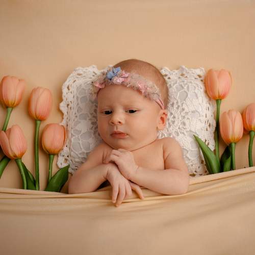 Фотография #12197169