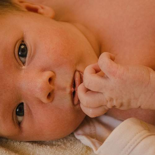 Photo #12197361