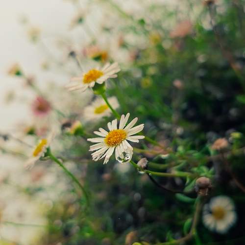 Photo #12197706