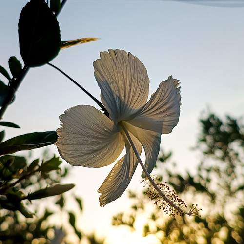 Photo #12197739