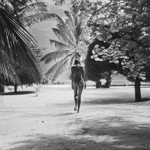 Photo #12197971