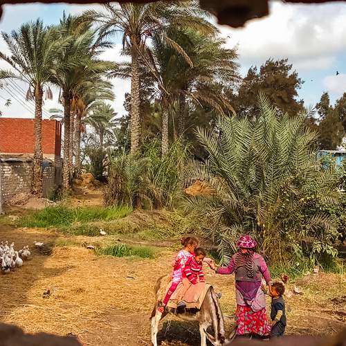 Photo #12198119