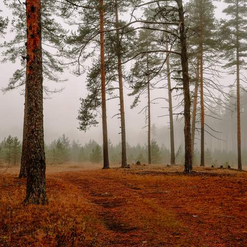 Photo #12198430