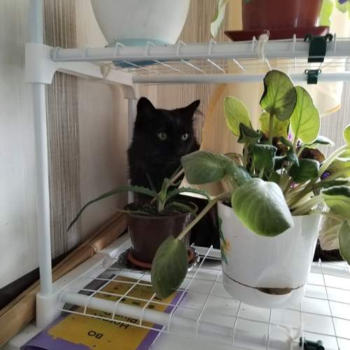 Photo #12198450