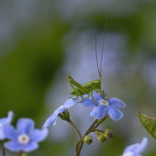 Photo #12198479