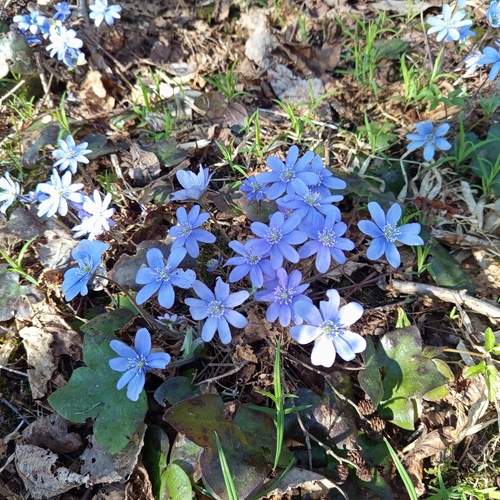 Photo #12198565