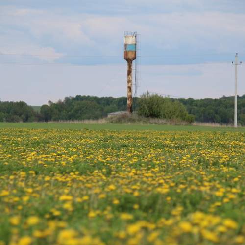 Photo #12198772