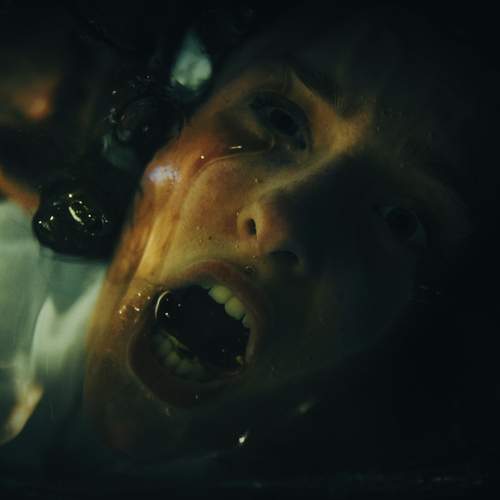Photo #12198774