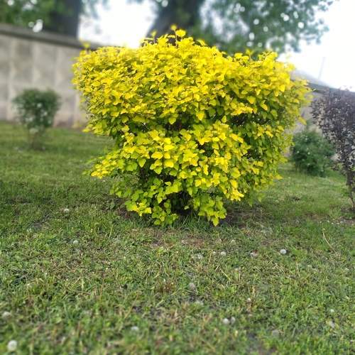 Photo #12198782