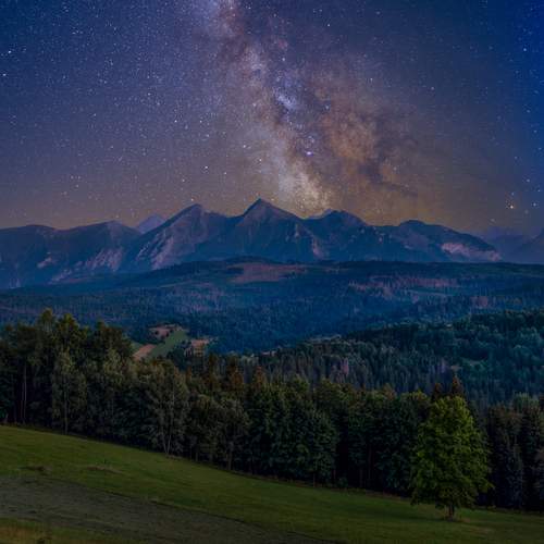 Photo #12199205