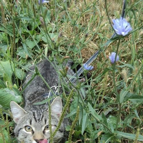 Photo #1220005