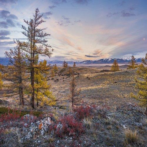 Осенний Курай