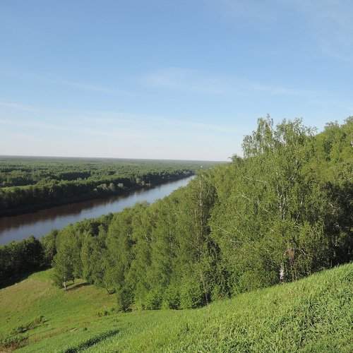 Photo #1220352