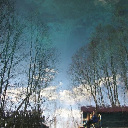 Перевернутый мир