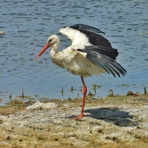 Photo #12200067