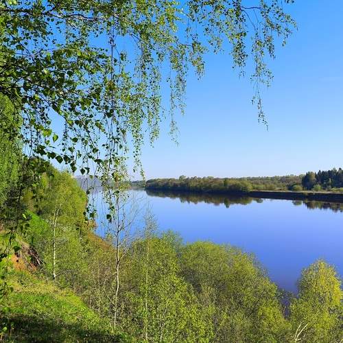 Фотография #12200174