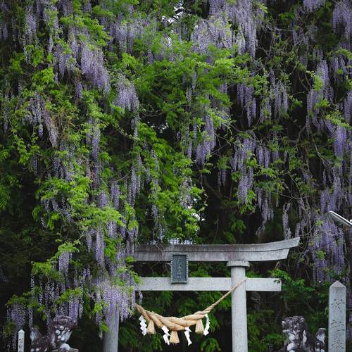 Фотография #12200924