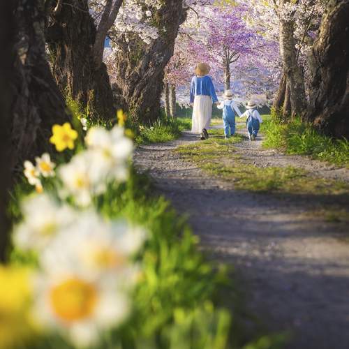 Фотография #12200941