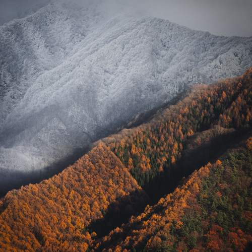 Фотография #12200975