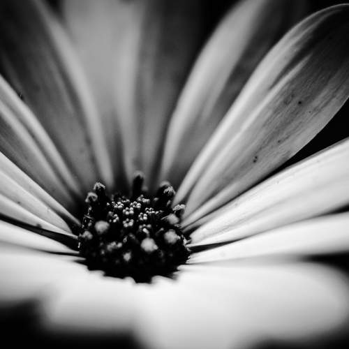 Photo #12201008