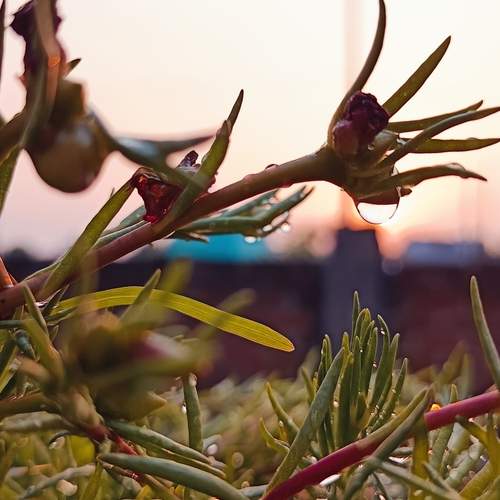 Photo #12201049
