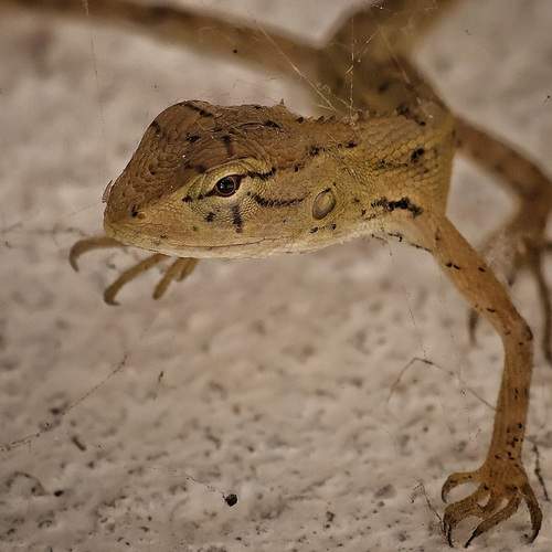 Photo #12201156