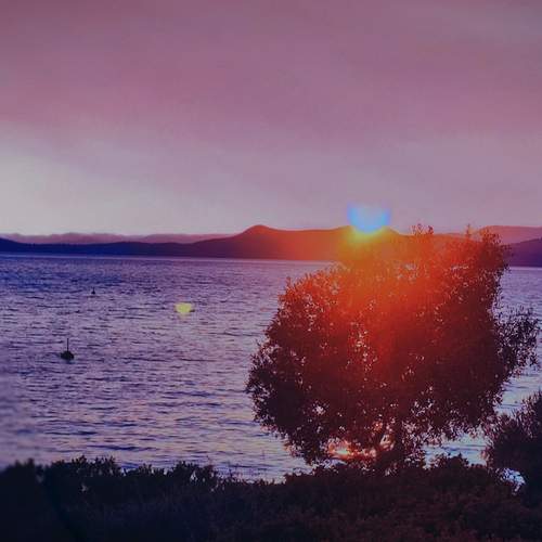 Photo #12201189