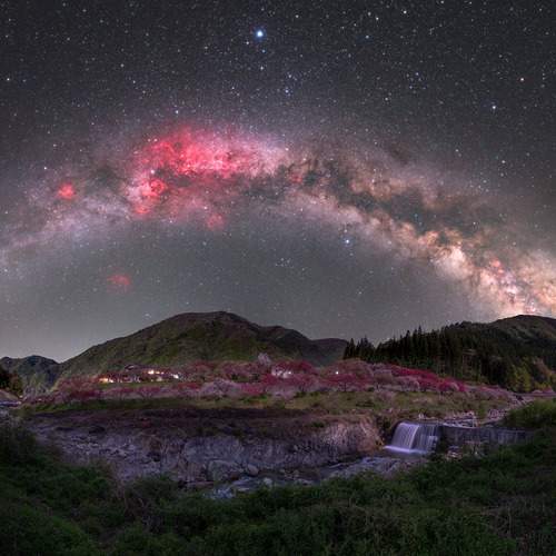 Фотография #12201237